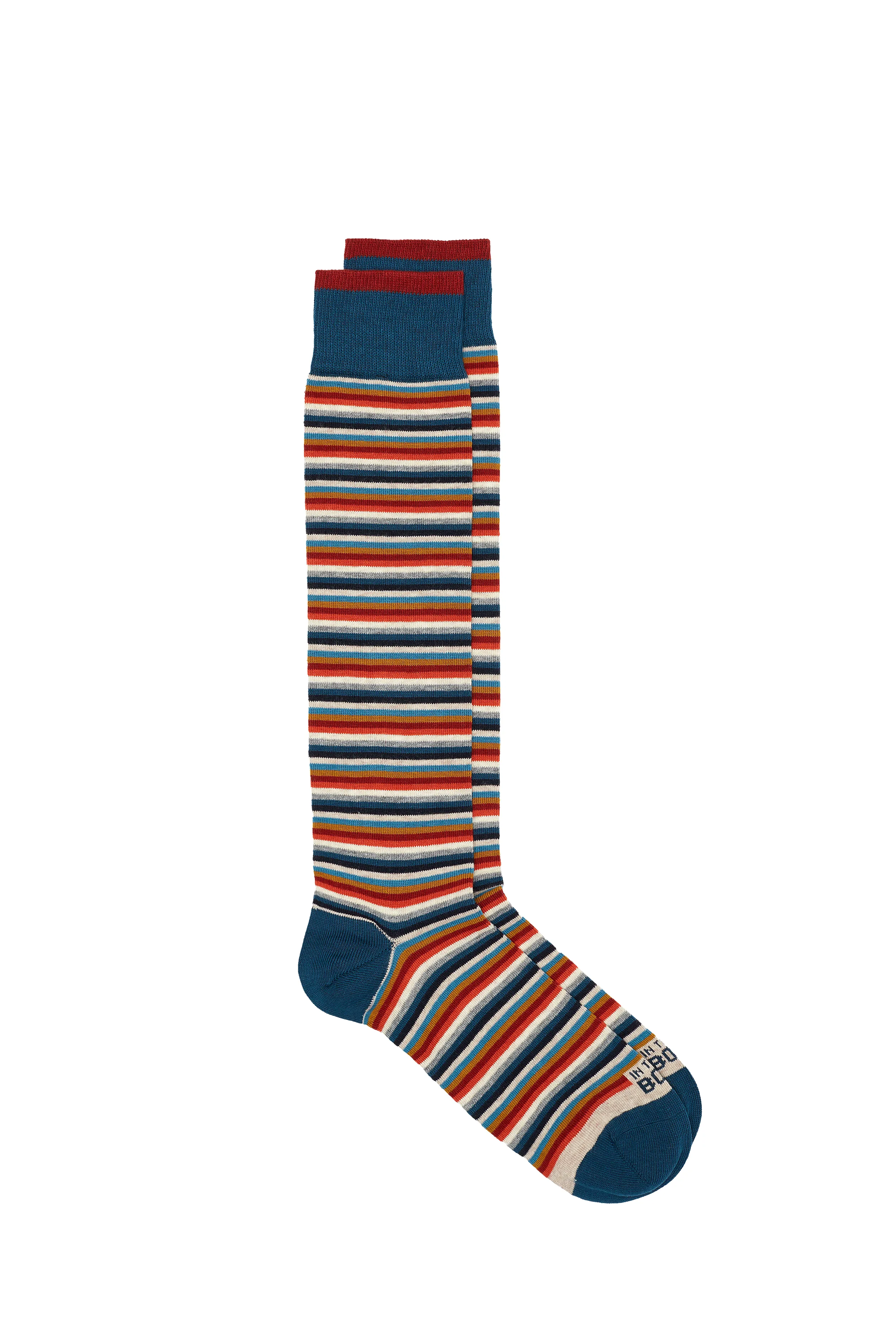 Calze In The Box Stripe Classic Multicolor