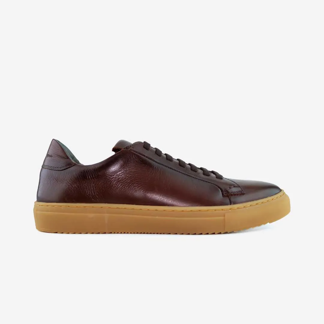 Customer Favorite 36's Laceless Low Top  Almost Sold Out!