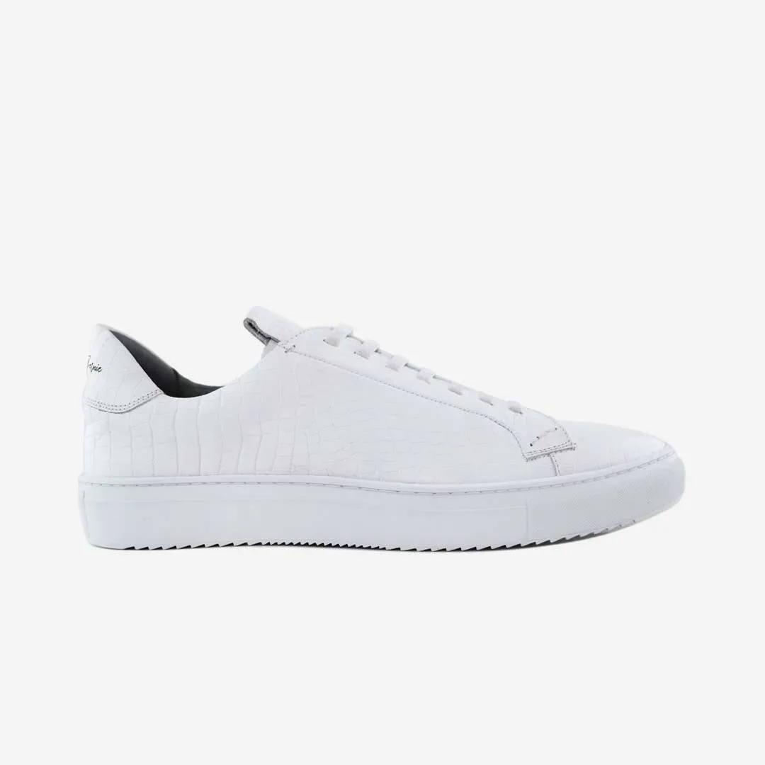Customer Favorite 36's Laceless Low Top  Almost Sold Out!