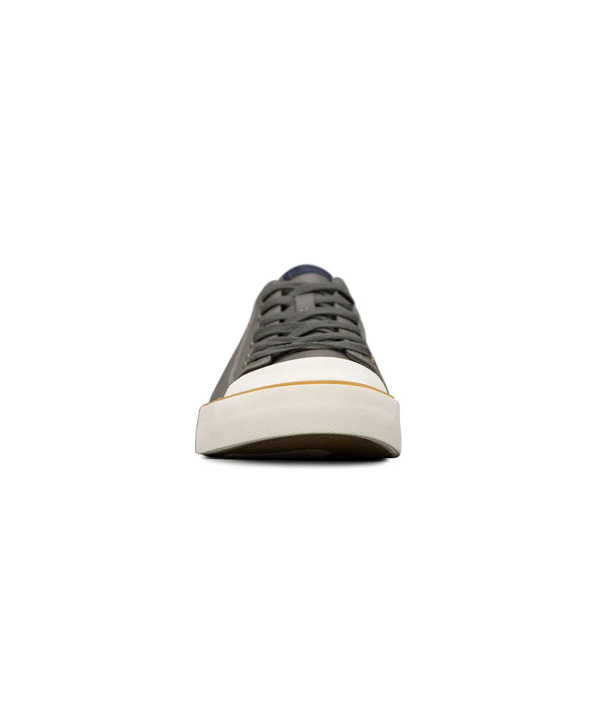 Insta-Worthy Hadley Lo Lace Up Sneaker Shell Toe  Going Fast!